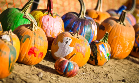 Painted pumpkins