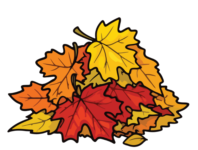 Fall foliage